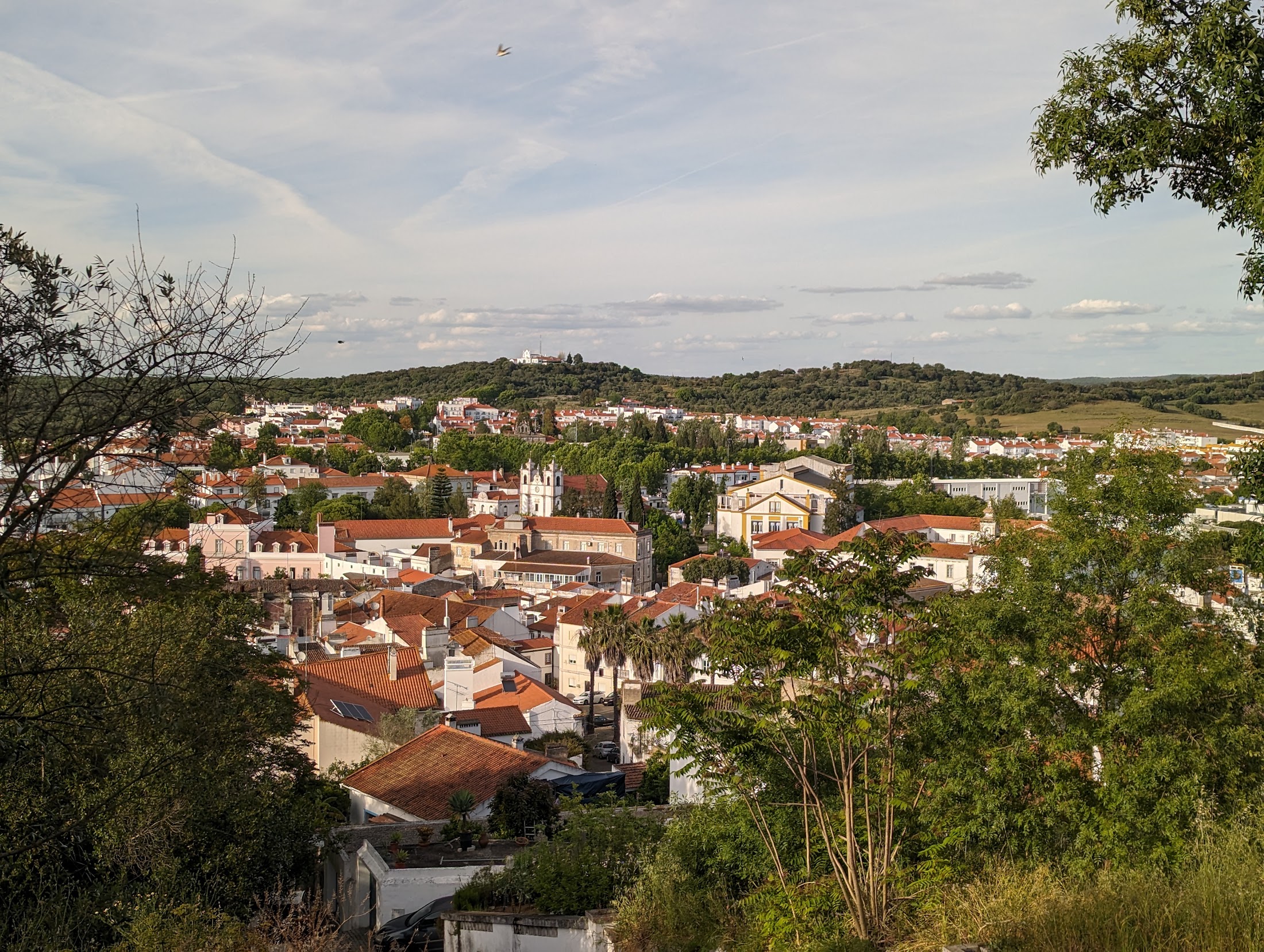 Vista panorâmica de Montemor-o-Novo com os telhados cor de terracota e o campo alentejano ao fundo